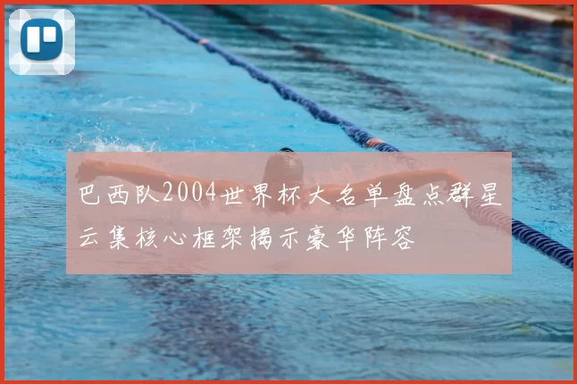 巴西队2004世界杯大名单盘点群星云集核心框架揭示豪华阵容