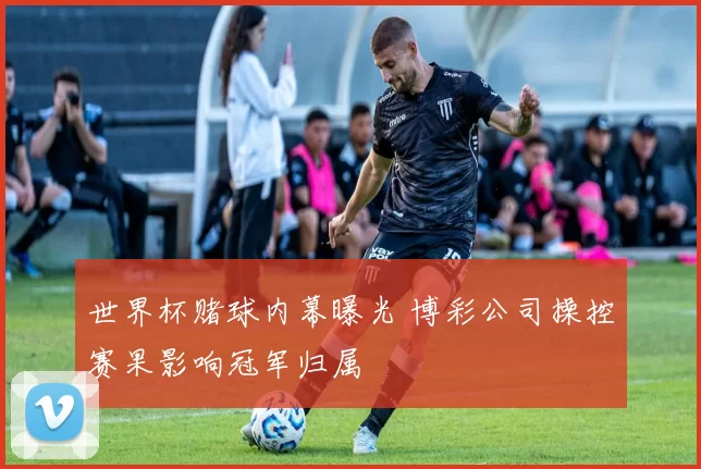 世界杯赌球内幕曝光 博彩公司操控赛果影响冠军归属