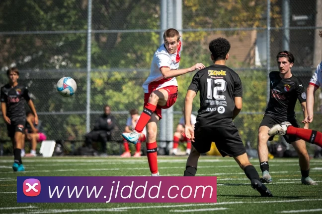 App Interface Preview