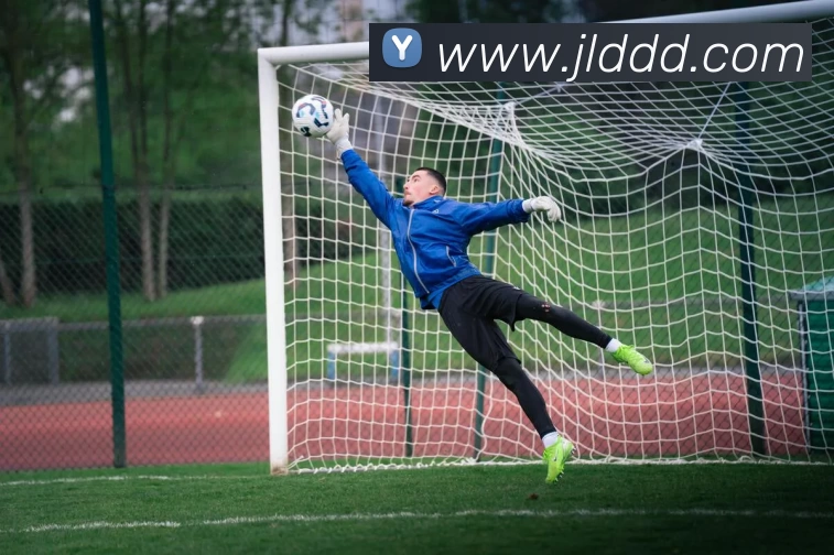 欧宝app官方端web站登入 - 欧宝(中国)APP 封面图